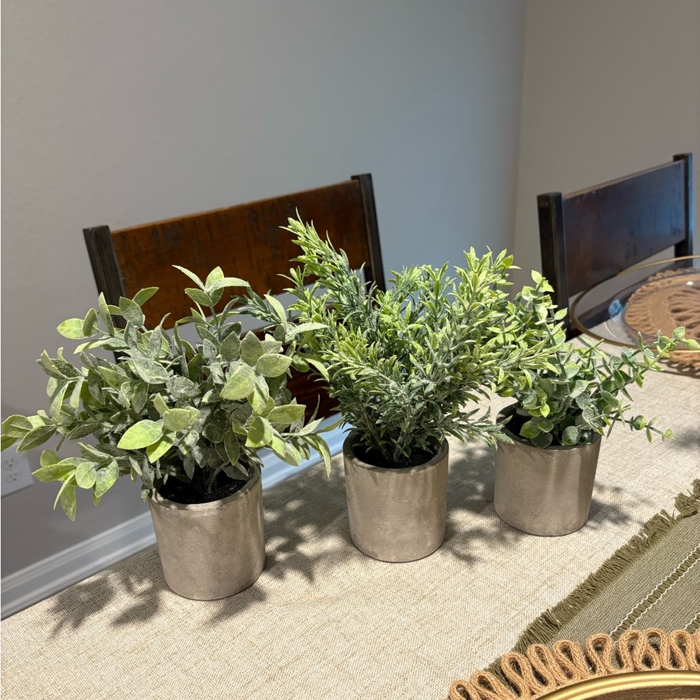 Set of 3 small greenery in pots